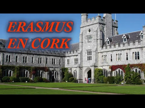 Descubre las mejores residencias para estudiantes Erasmus en Cork
